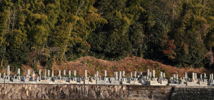 公園墓地の八柱霊園の特徴