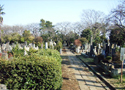 墓所2